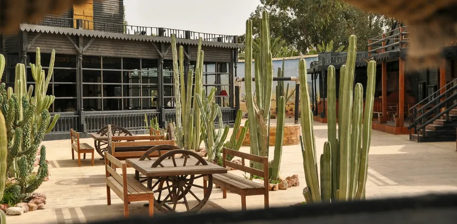 A rustic courtyard with tall columnar cacti, wooden benches and an old wagon wheel table