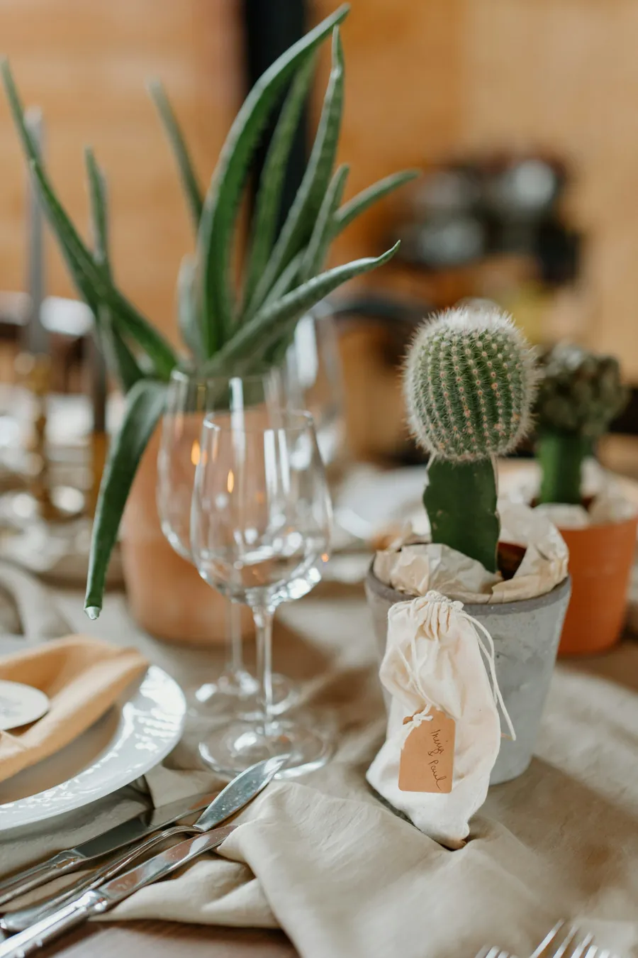 A place setting with a small potted cactus favor, wine glasses and a folded napkin