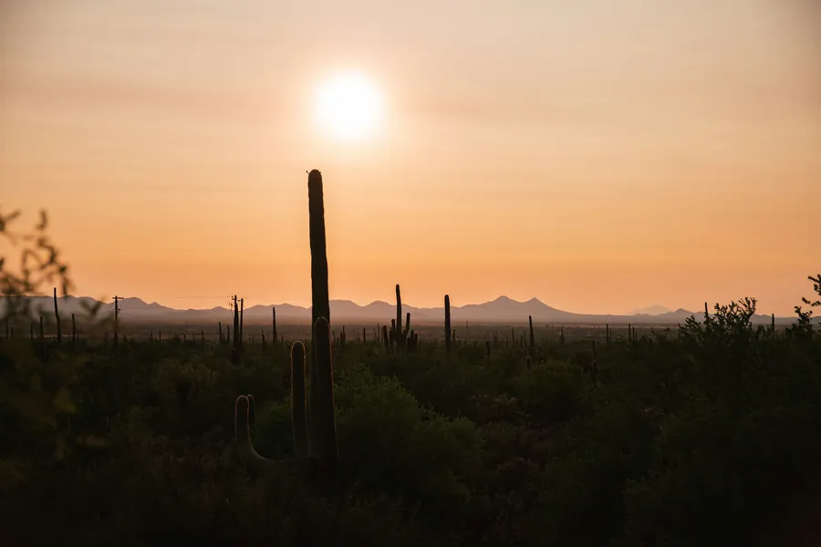 The sun setting over a desert landscape with a lone saguaro in silhouette